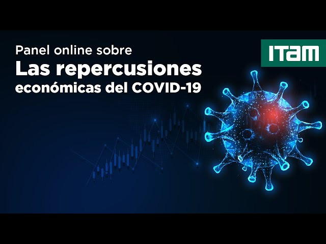 Webinar | Repercusiones Económicas del Covid 19