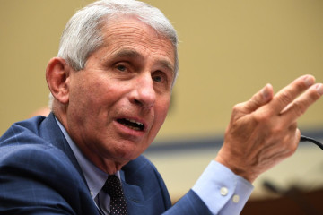 200731185751 panorama dr anthony fauci congress hearing full 169