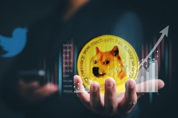 Aumento precio dogecoin twitter musk