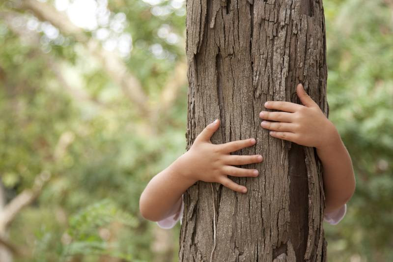 Impacto ambiental empresas en mexico